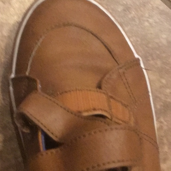 Cat - Picture 8 of 8